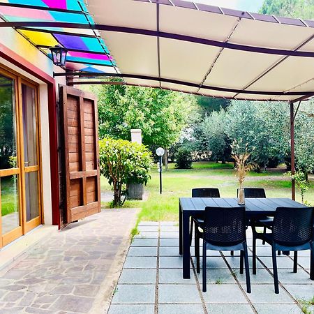 Agriturismo Salcino Гроссето Экстерьер фото