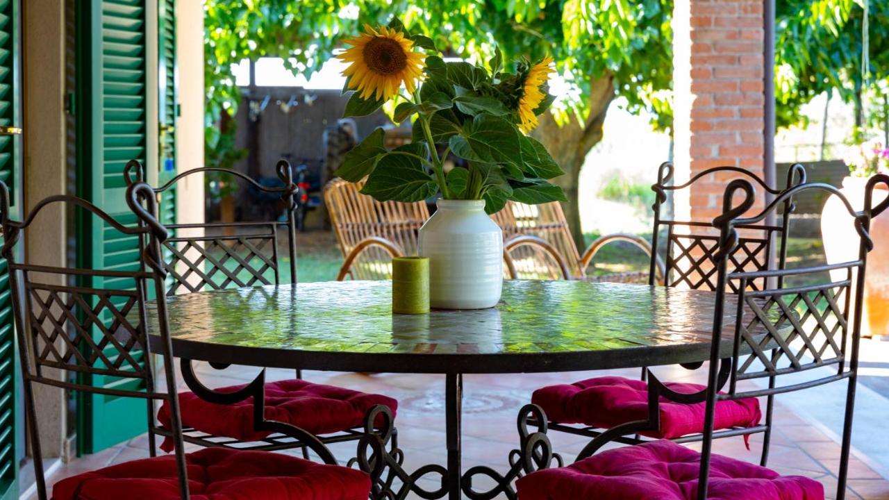 Agriturismo Salcino Гроссето Экстерьер фото