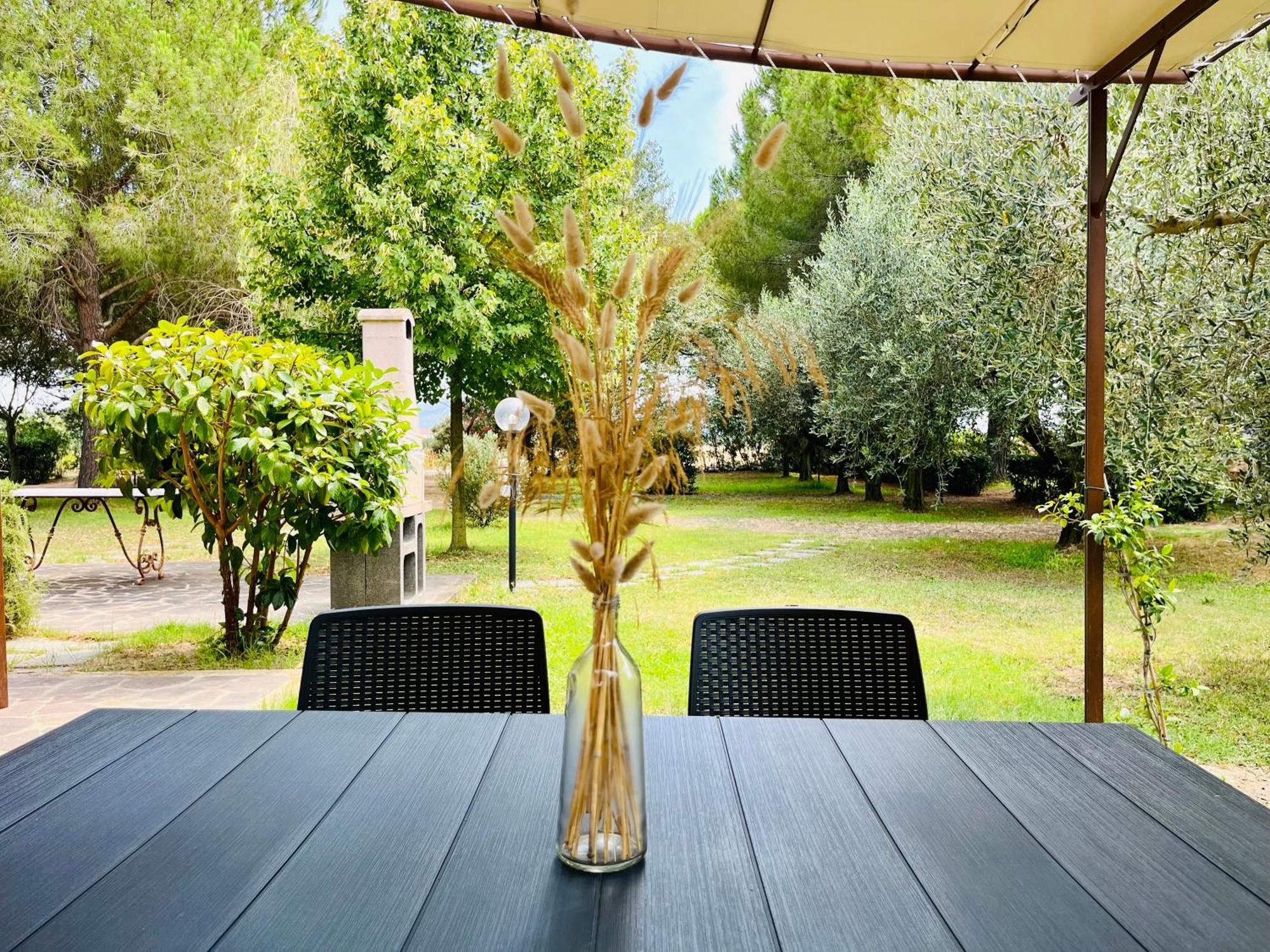 Agriturismo Salcino Гроссето Экстерьер фото